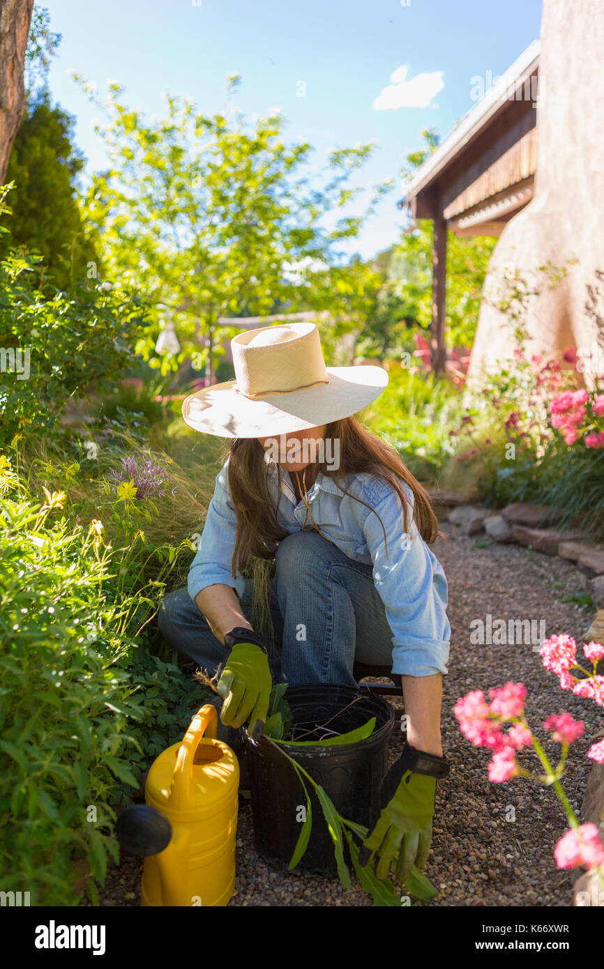 I vecchi donna caucasica giardinaggio Foto Stock