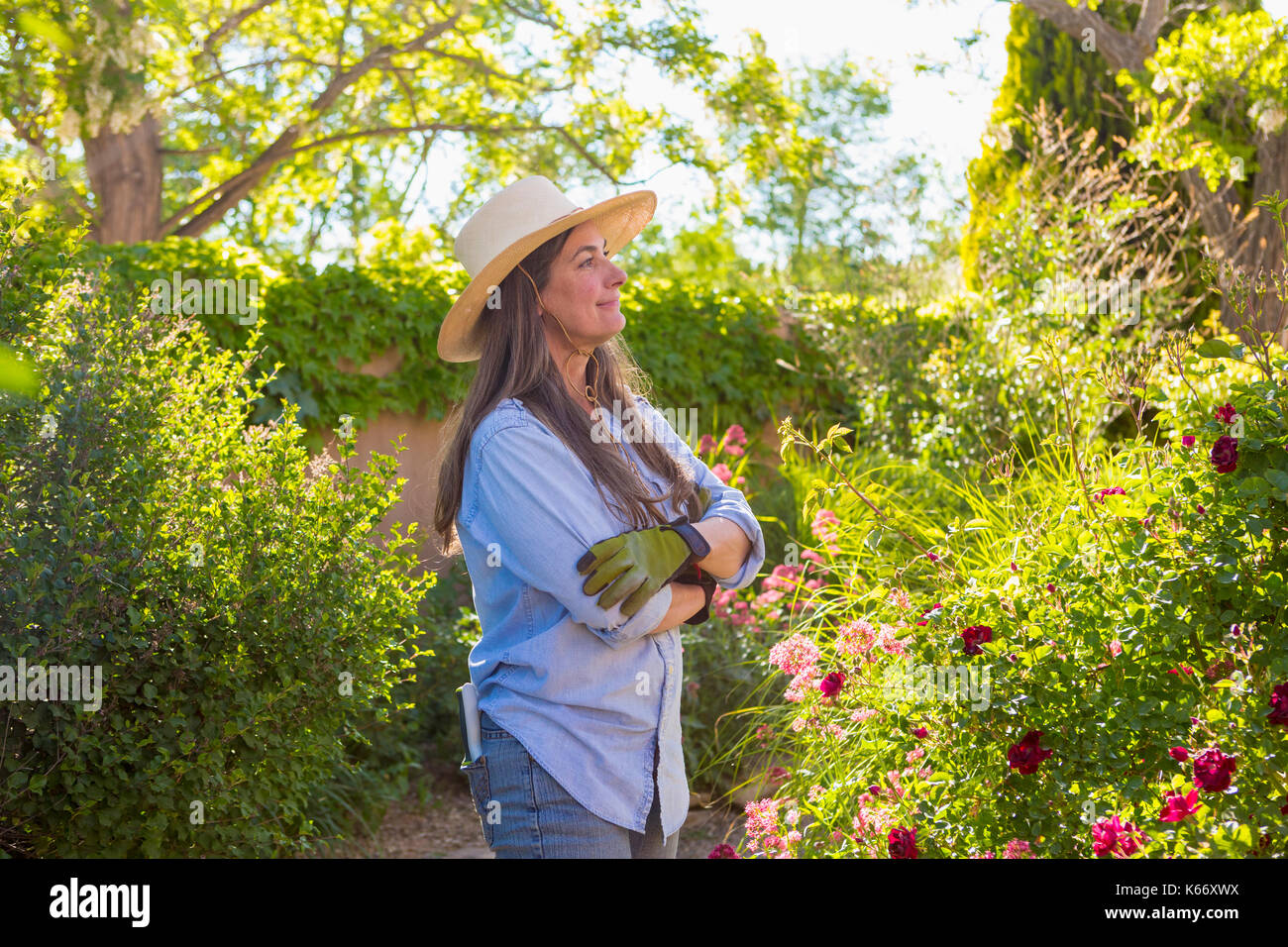 I vecchi donna caucasica ammirando fiori nel giardino Foto Stock