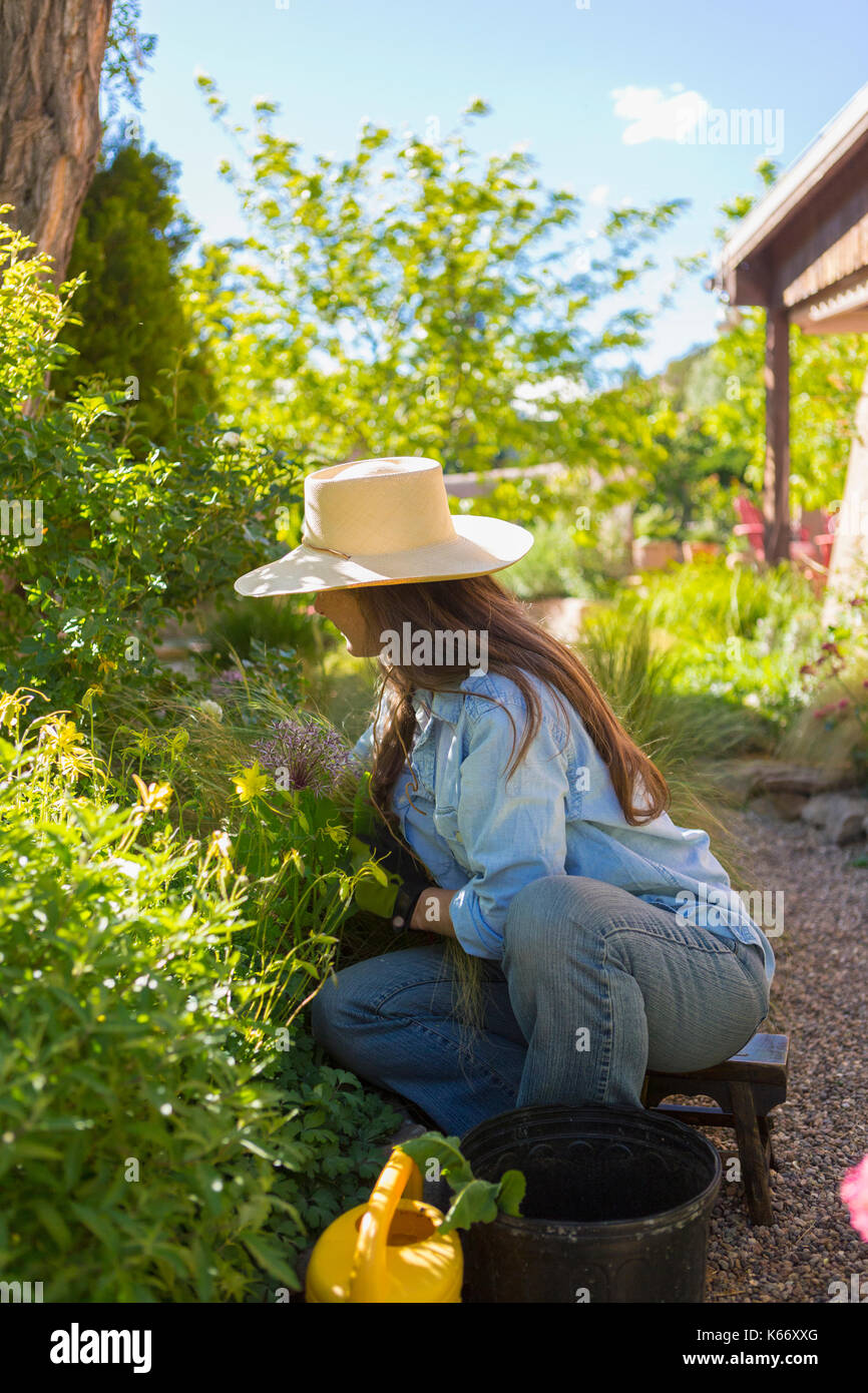 I vecchi donna caucasica giardinaggio Foto Stock