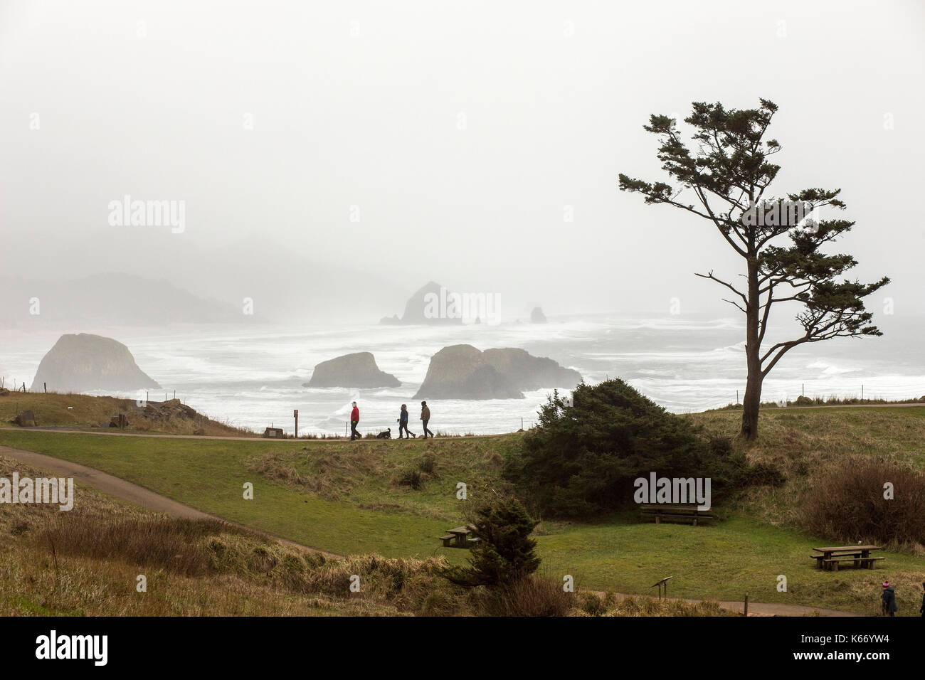Persone distanti a piedi vicino oceano di nebbia Foto Stock