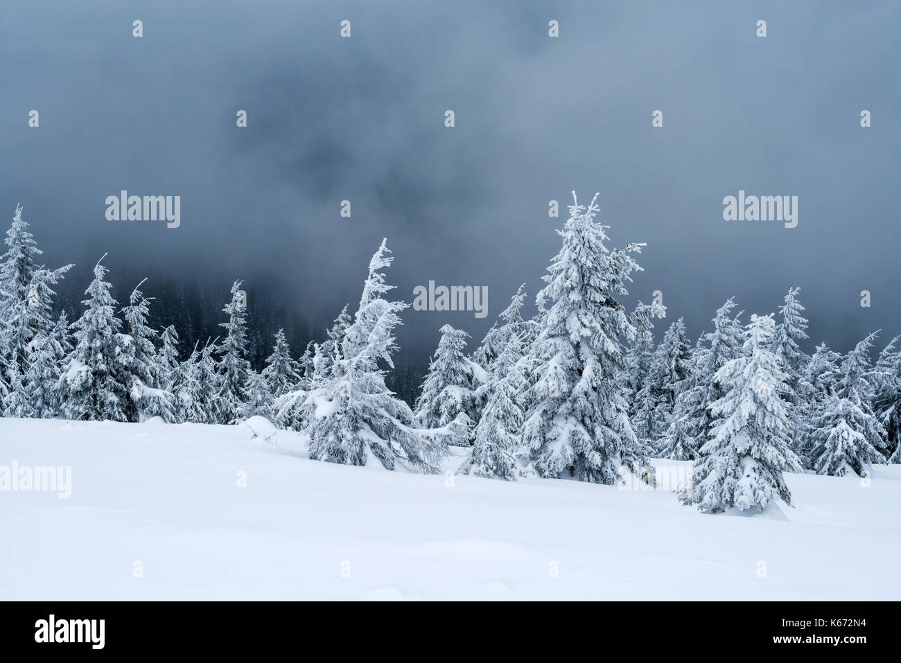 Fantastico paesaggio invernale Foto Stock