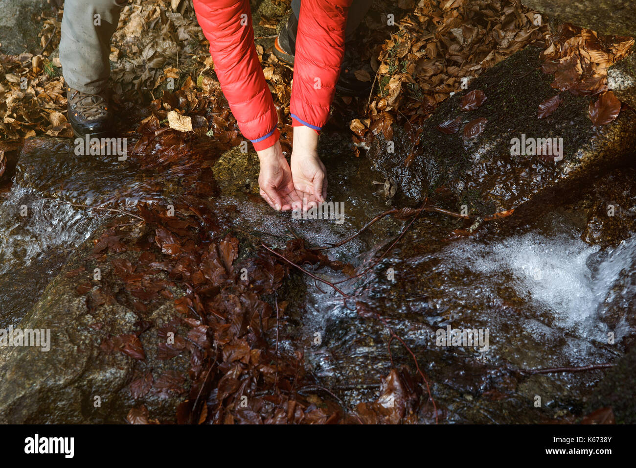 Assetato escursionista acqua potabile da un cristallo chiara stream in montagna. Adventure, il fondamentale diritto all'acqua, ritorno alla natura e uno stile di vita naturale Foto Stock