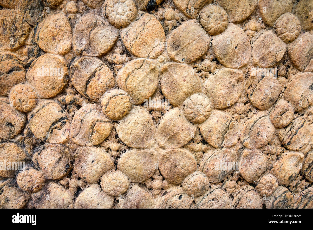 Etnico floreale patten in arenaria in sri lanka Foto Stock