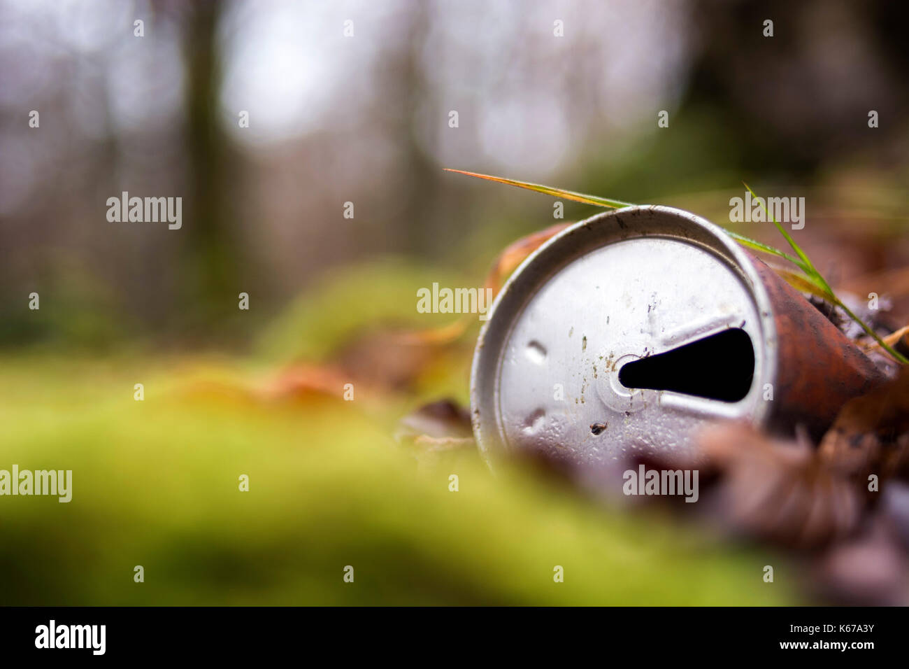 Scartato il carbonato di sodio può nella foresta Foto Stock