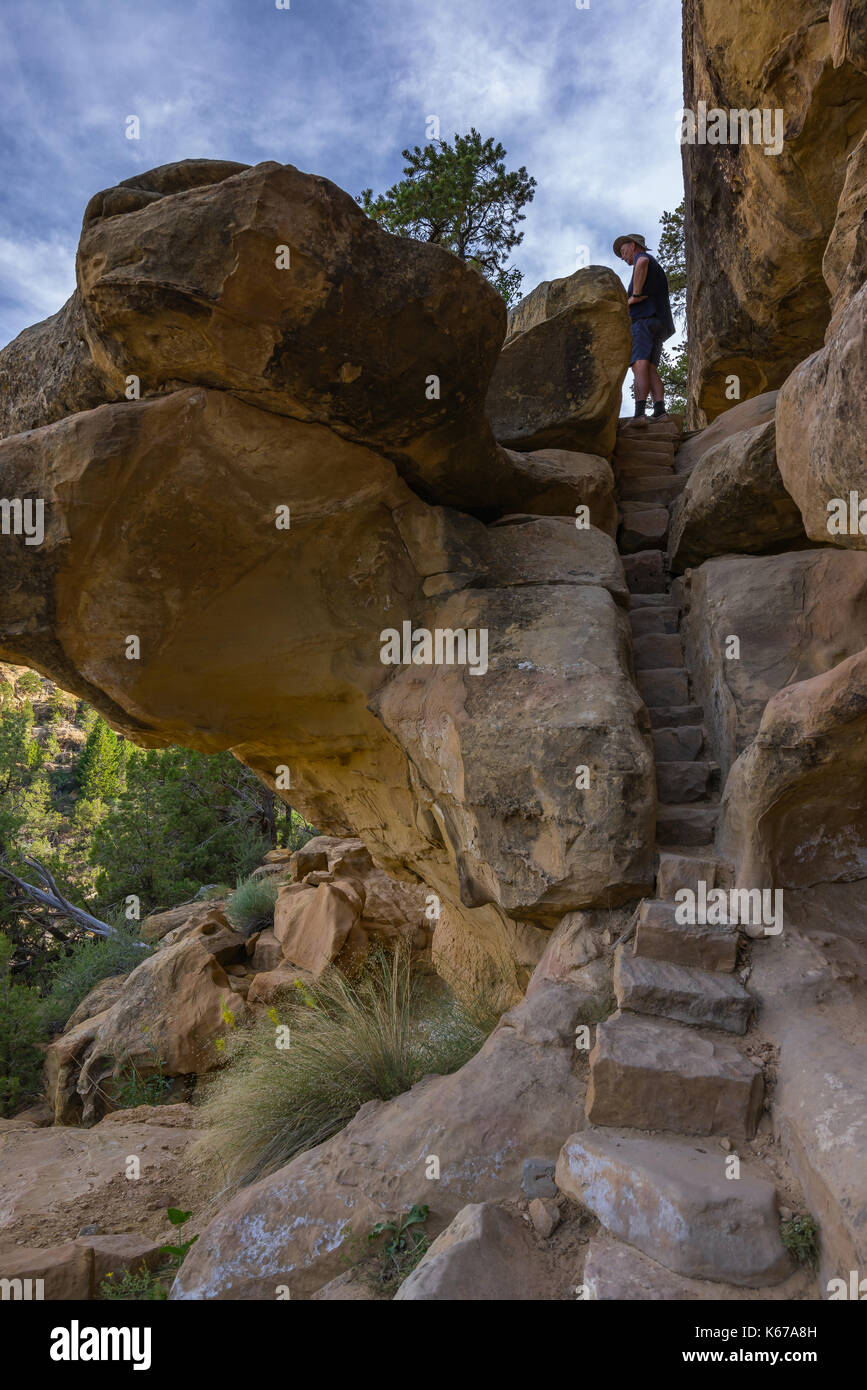 Man Escursionismo, percorso di Petroglyph Point, Mesa Verde National Park, Colorado, Stati Uniti Foto Stock