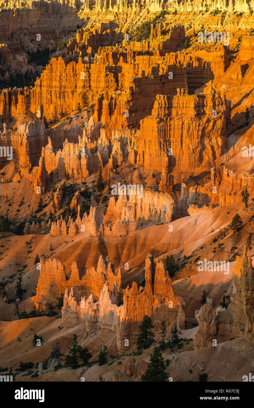 Bryce Canyon all'alba, Utah, Stati Uniti Foto Stock