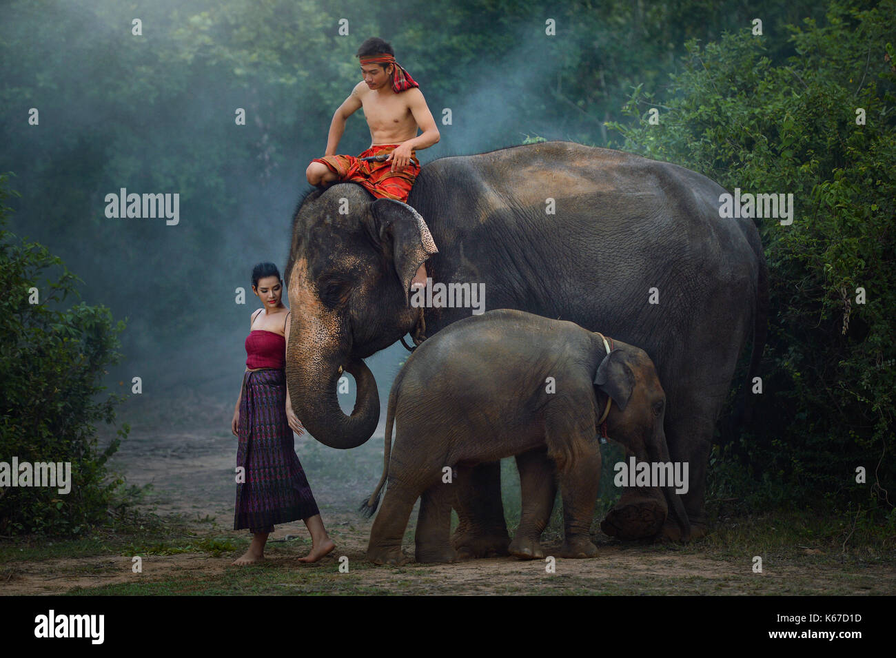 Uomo e donna con elefanti elefante e di vitello, Thailandia Foto Stock