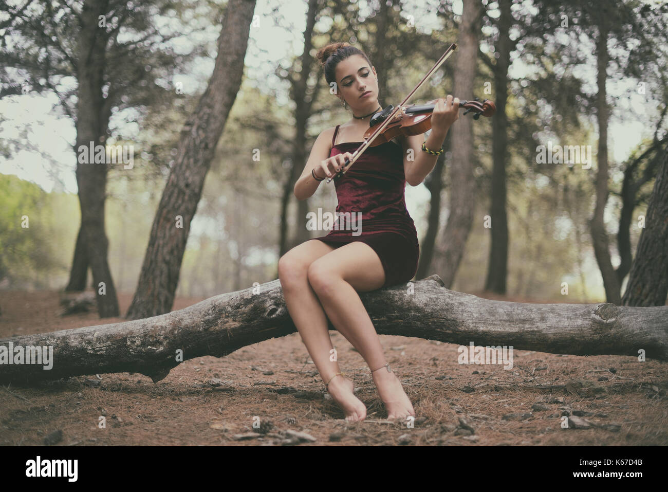 Ragazza seduta su un tronco di albero a suonare il violino Foto Stock
