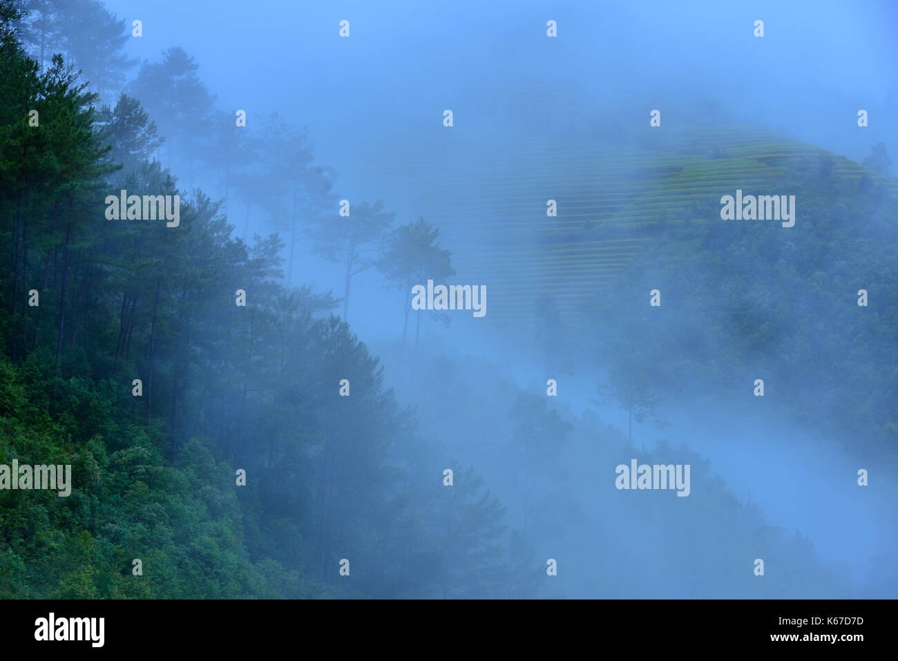 La nebbia sulle montagne di sunrise, Vietnam Foto Stock