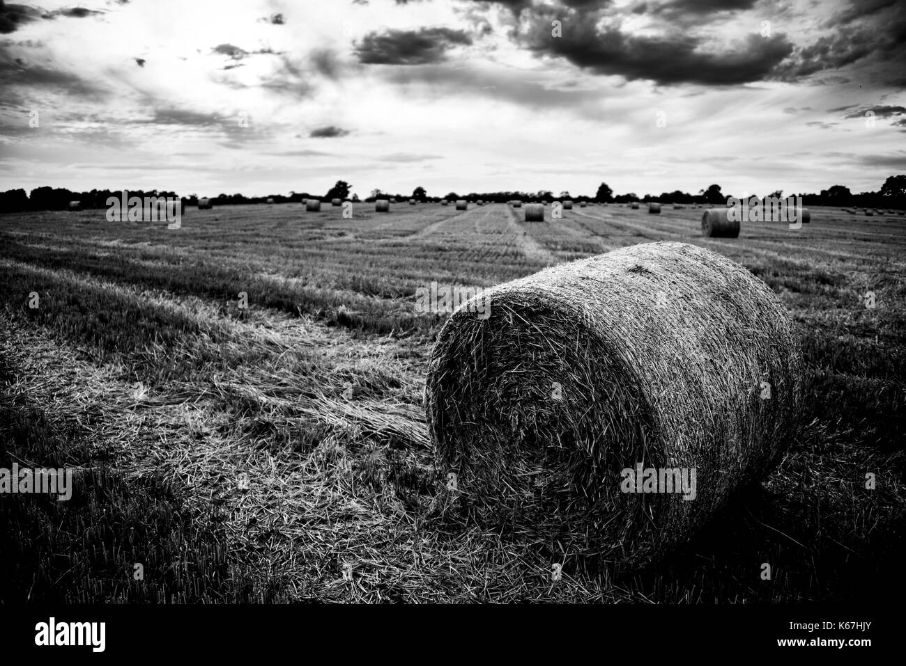 Le balle di paglia: le balle di paglia di grano in un campo di Oxfordshire. Regno Unito sullo sfondo del raccolto. Foto Stock