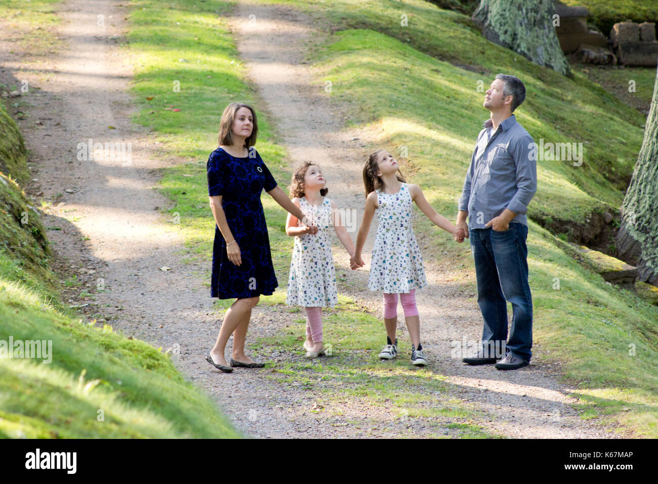 Famiglia di esplorare i boschi alza lo sguardo verso il cielo Foto Stock