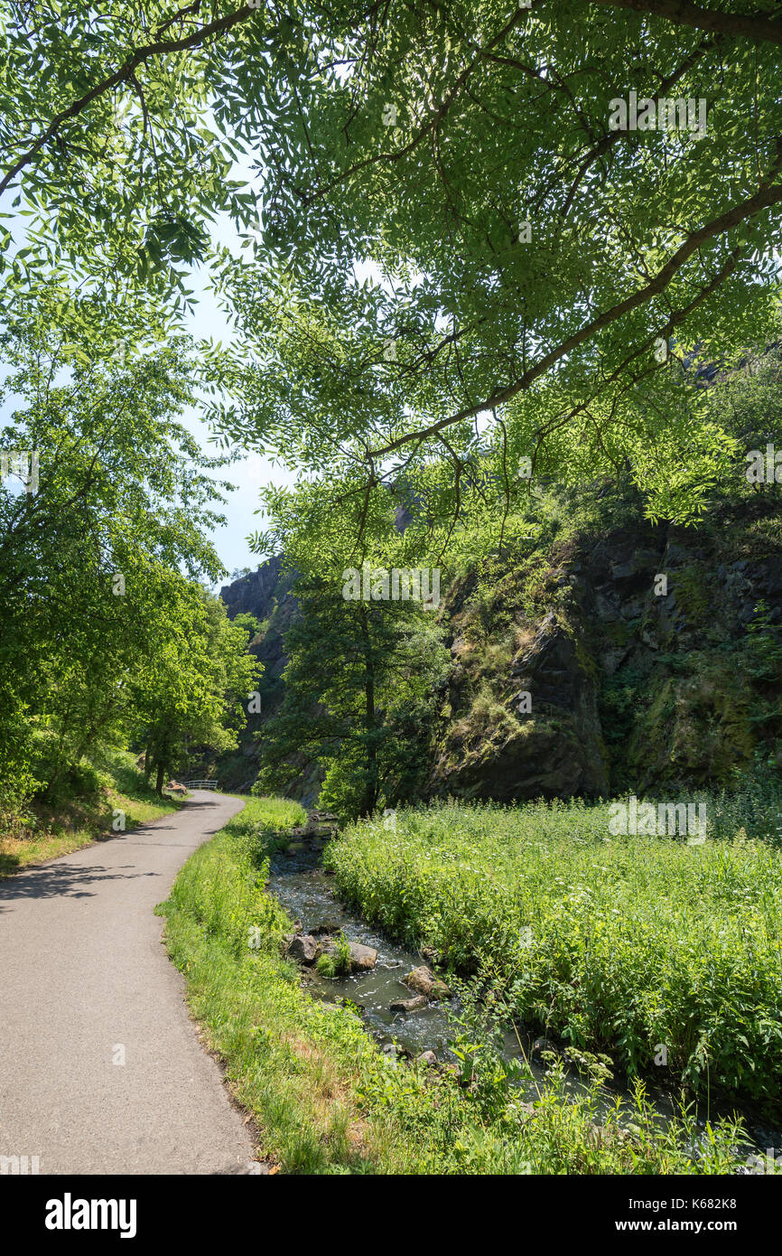 Sentiero lastricato e streaming sul fondo di una gola a Divoka Sarka. Si tratta di una riserva naturale alla periferia di Praga nella Repubblica ceca. Foto Stock