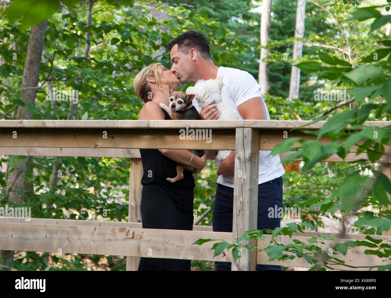 Due cani sono detenute da loro kissing proprietari, su un ponte nel bosco Foto Stock