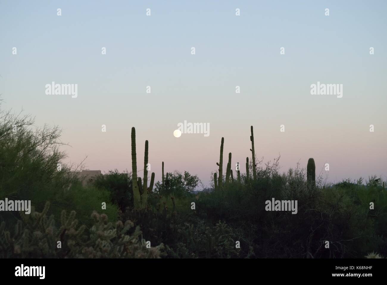 Full Moon Rising oltre il deserto sudoccidentale Foto Stock