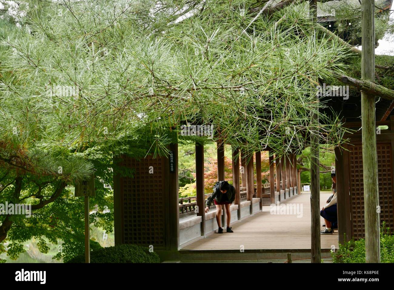 Santuario Heian giardini in kyoto Foto Stock