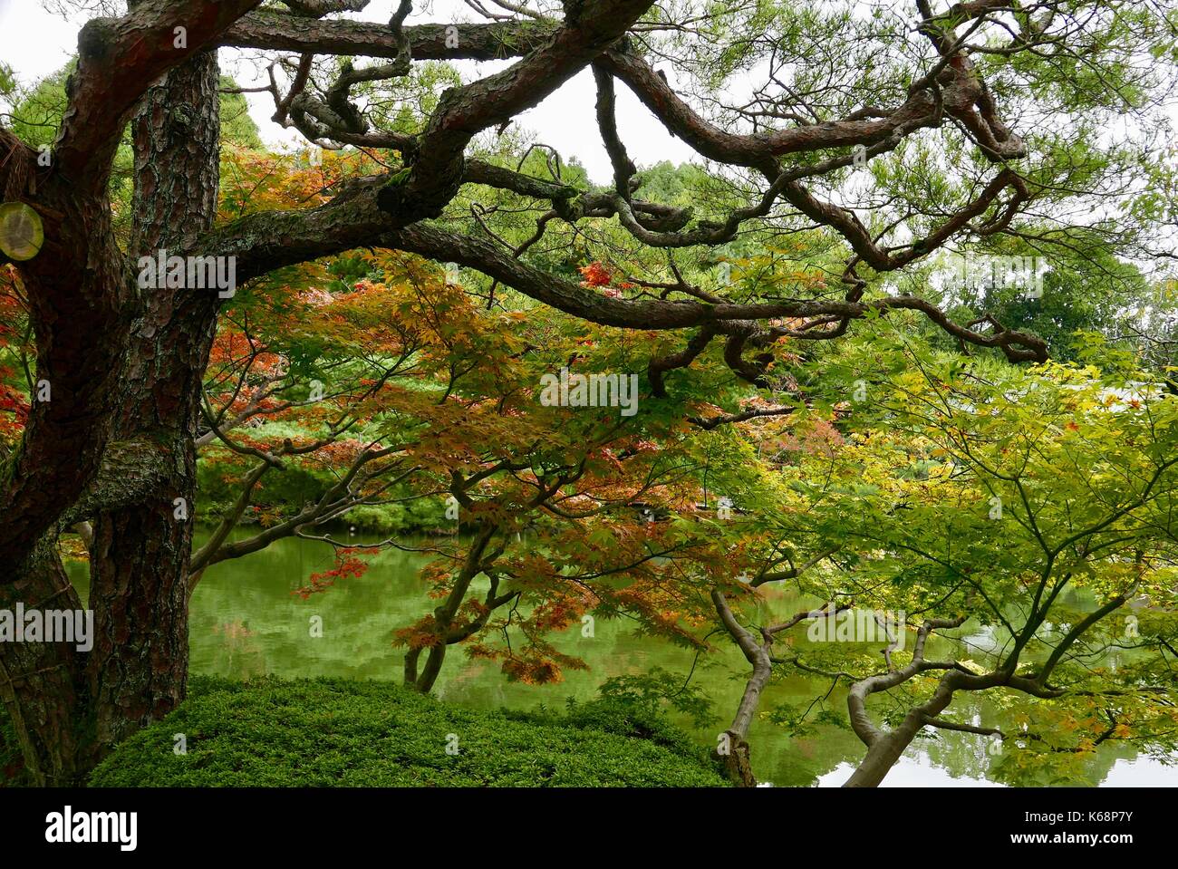 Santuario Heian giardini in kyoto Foto Stock