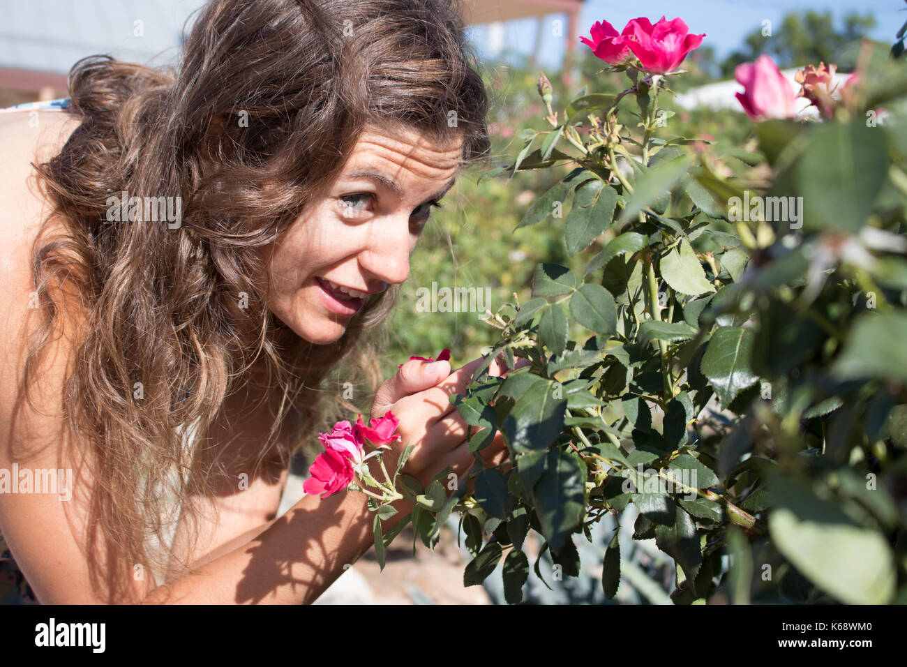 Giovane donna con lunghi marrone capelli cercando come lei si mantiene le rose Foto Stock