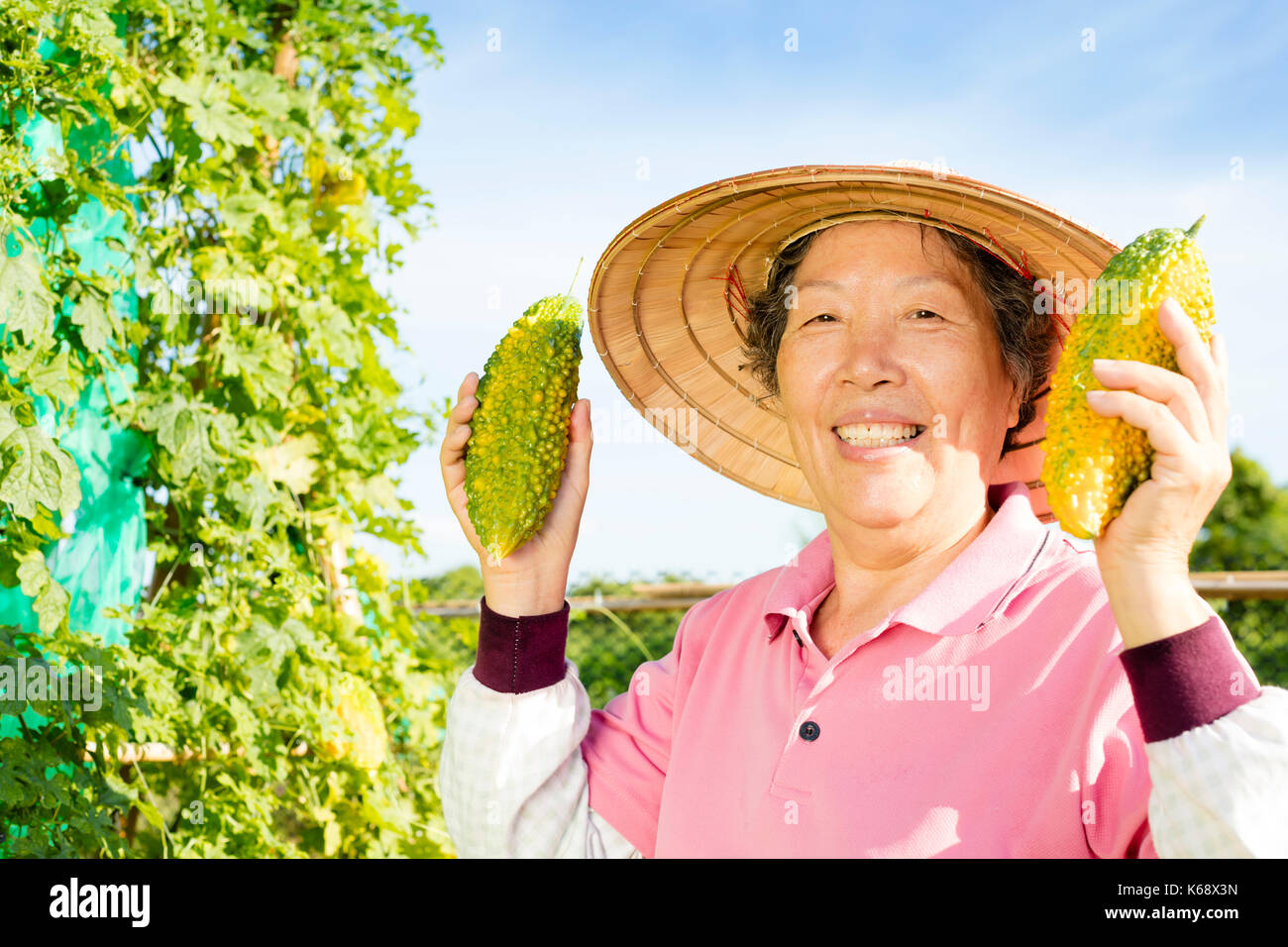 Senior donna agricoltore lavora nella fattoria di vegetali Foto Stock