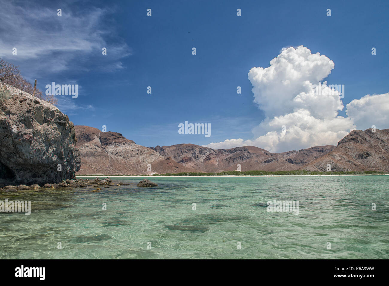 Balandra Beach, La Paz, Mare di Cortes Baja California Sur. Messico Foto Stock