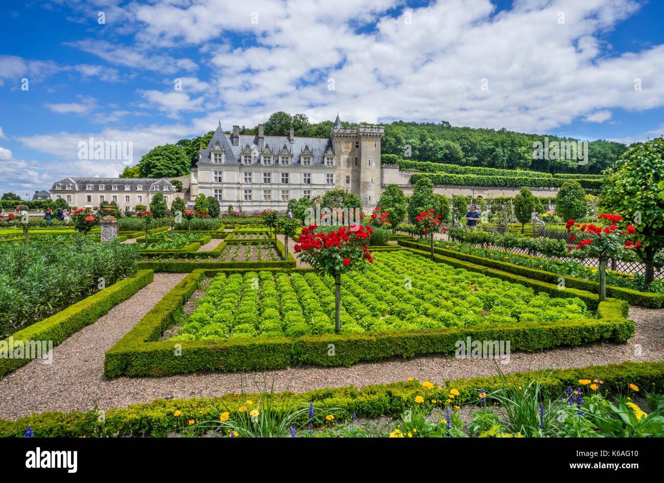 Francia, Indre-et-Loire department, Château de Villandry, ornamentali coltivazione di ortaggi in cucina Giardino Foto Stock