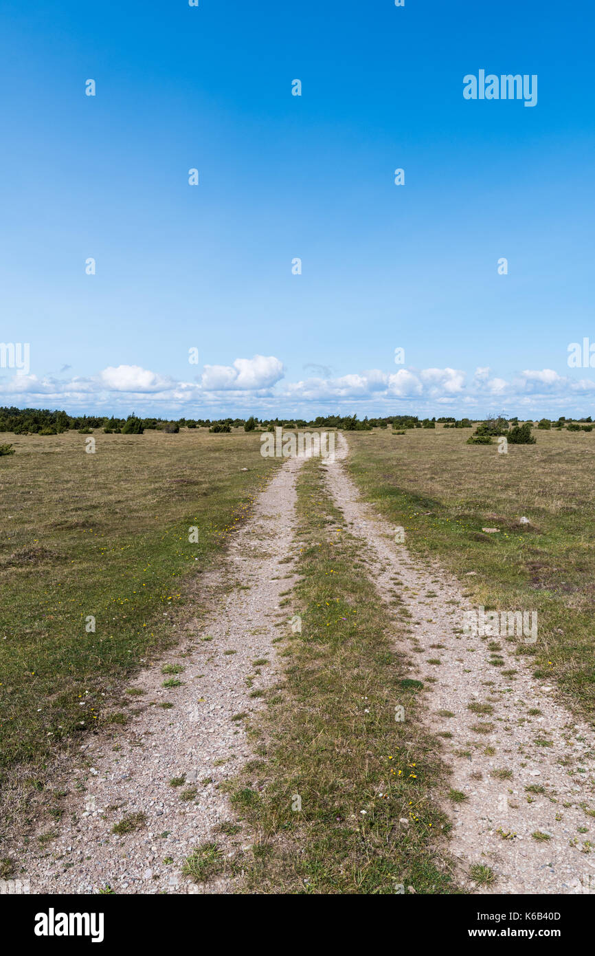 Country Road dritto in un ampio paesaggio aperto all'isola svedese oland Foto Stock