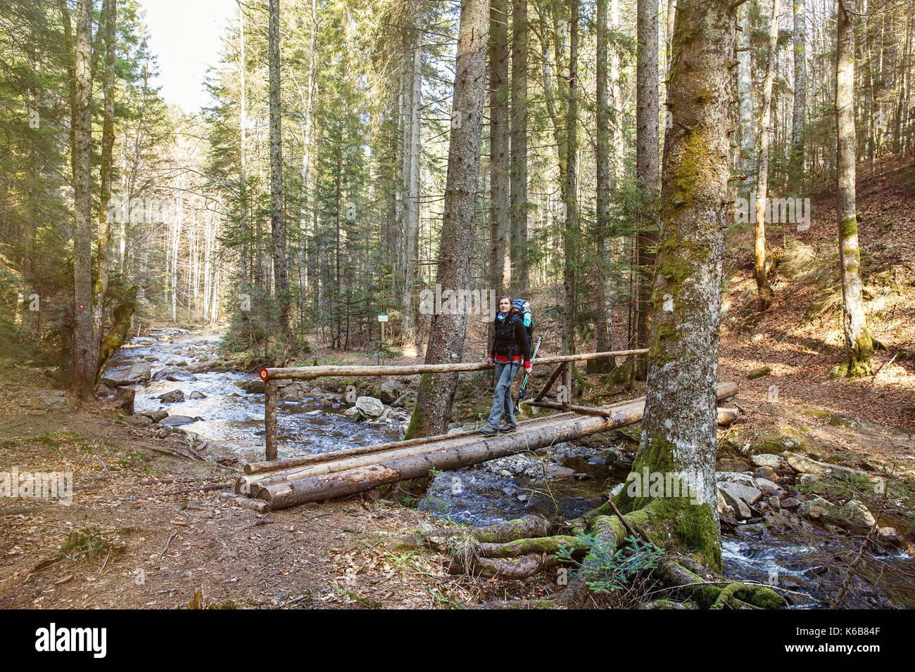 Donna escursionista attraversando un ponte pedonale in foresta attraverso un puro fiume di montagna, con un tripudio disegnati per direzione, sole che splende. Uno stile di vita attivo, incontaminato na Foto Stock