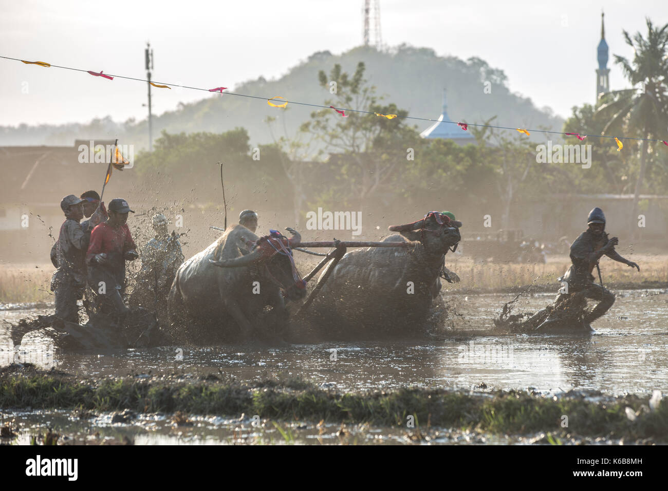 Jereweh, sumbawa barat, Indonesia - 10 settembre 2017: locale buffalo race competition tenutasi il sumbawa in jereweh, Indonesia il 10 settembre 2017. Foto Stock