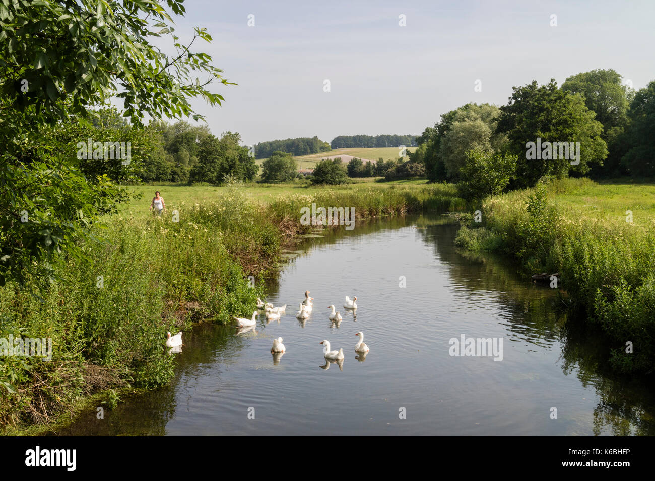 Campagna e visualizzare rurale del Fiume Avon a Upavon, Wiltshire, Inghilterra Foto Stock