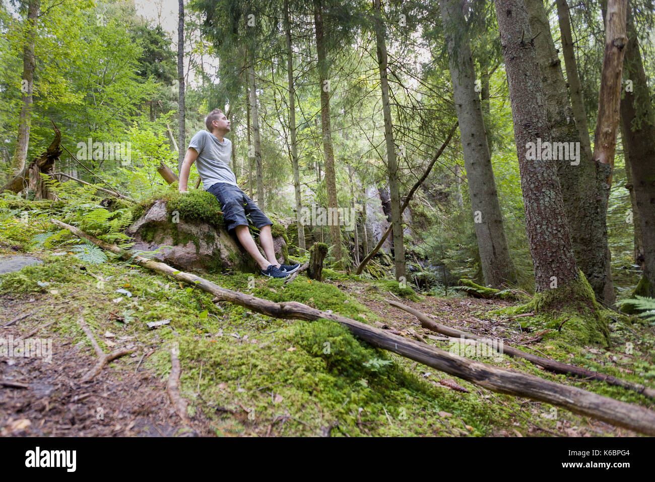 Metà adulto uomo caucasico all'aperto nel tranquillo rilassante foresta su roccia modello di rilascio: Sì. Proprietà di rilascio: No. Foto Stock