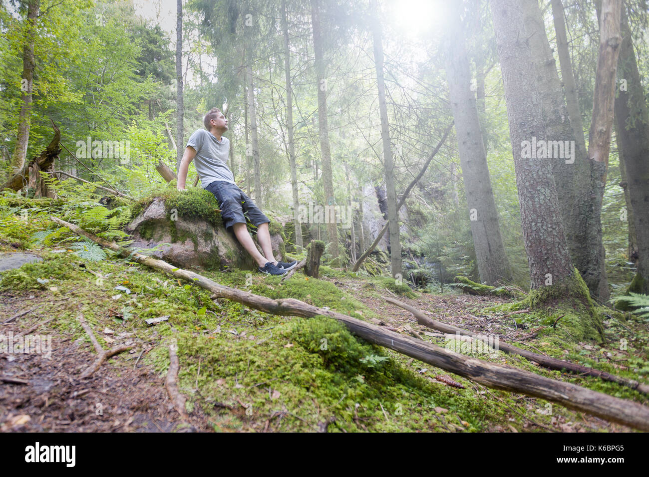 Metà adulto uomo caucasico all'aperto nel tranquillo rilassante foresta su roccia modello di rilascio: Sì. Proprietà di rilascio: No. Foto Stock