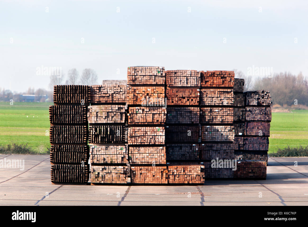 Stoccaggio industriale di pali in legno duro Foto Stock