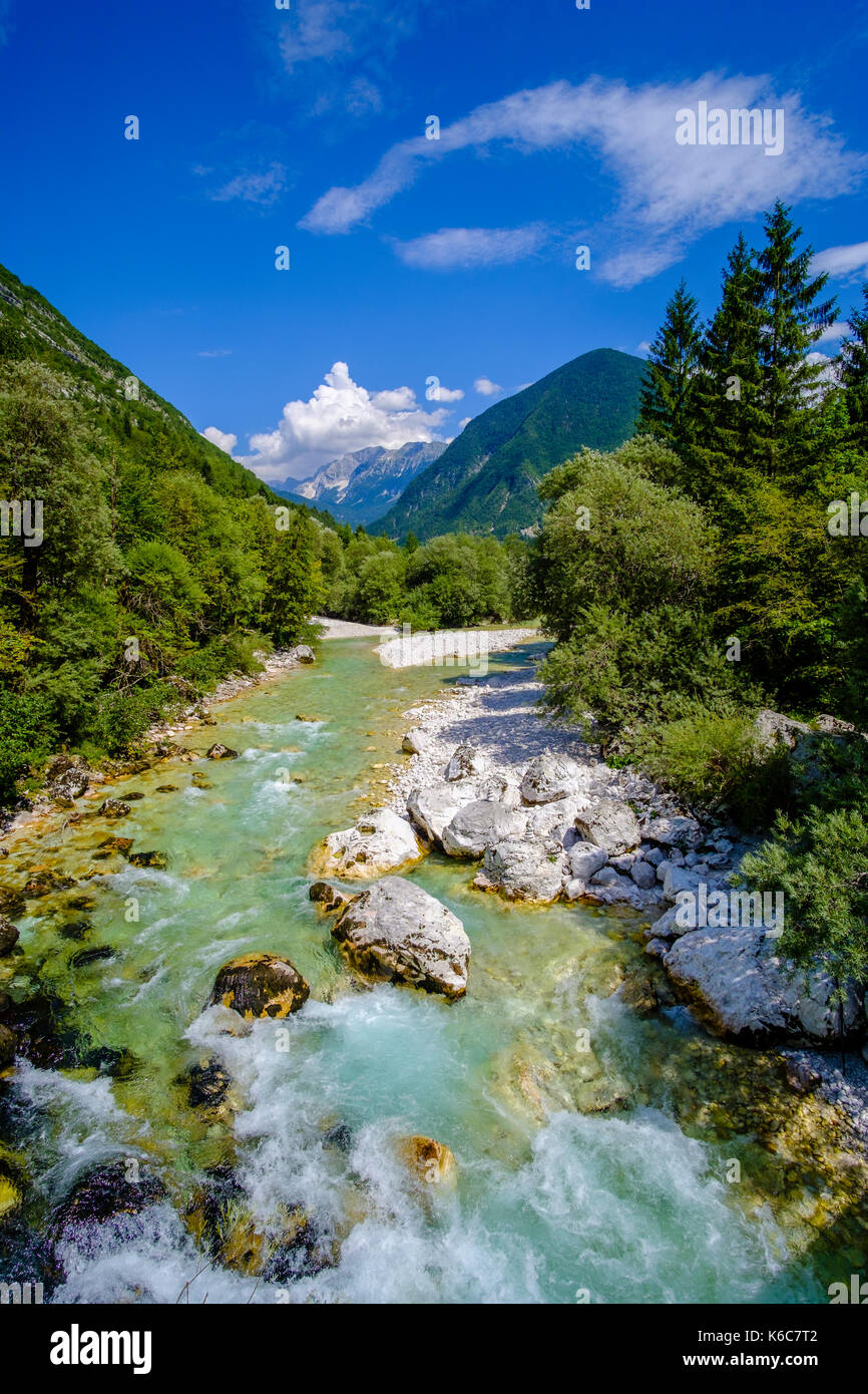 Paesaggio con fiume Soča, gli alberi e le montagne in Isonzo nel Parco Nazionale del Triglav Foto Stock