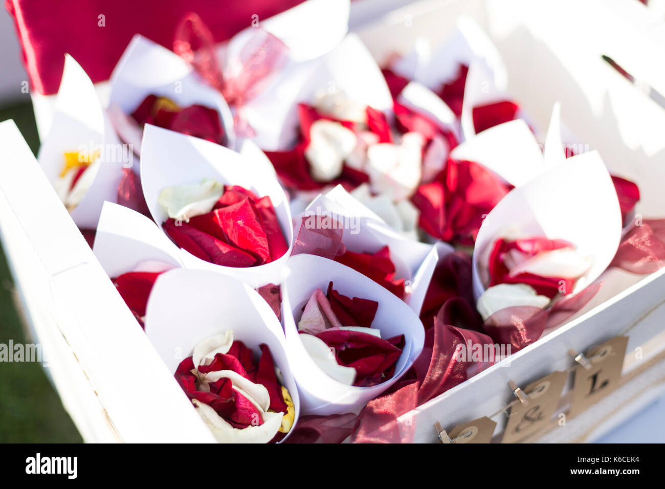 Petali di rosa pronti per le nozze nel white paper Foto Stock