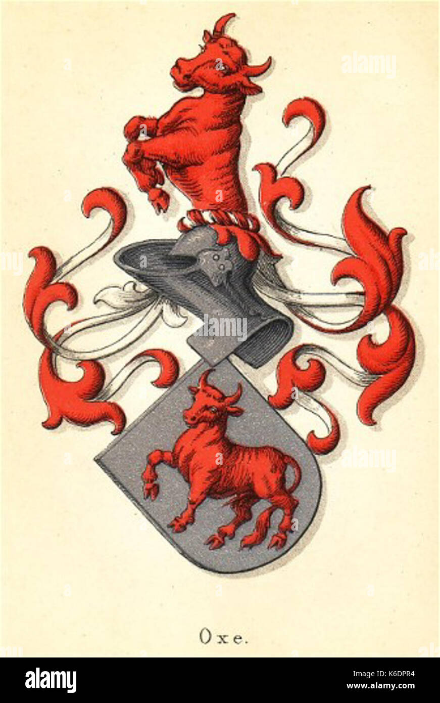 Coatofarms Oxe Foto Stock