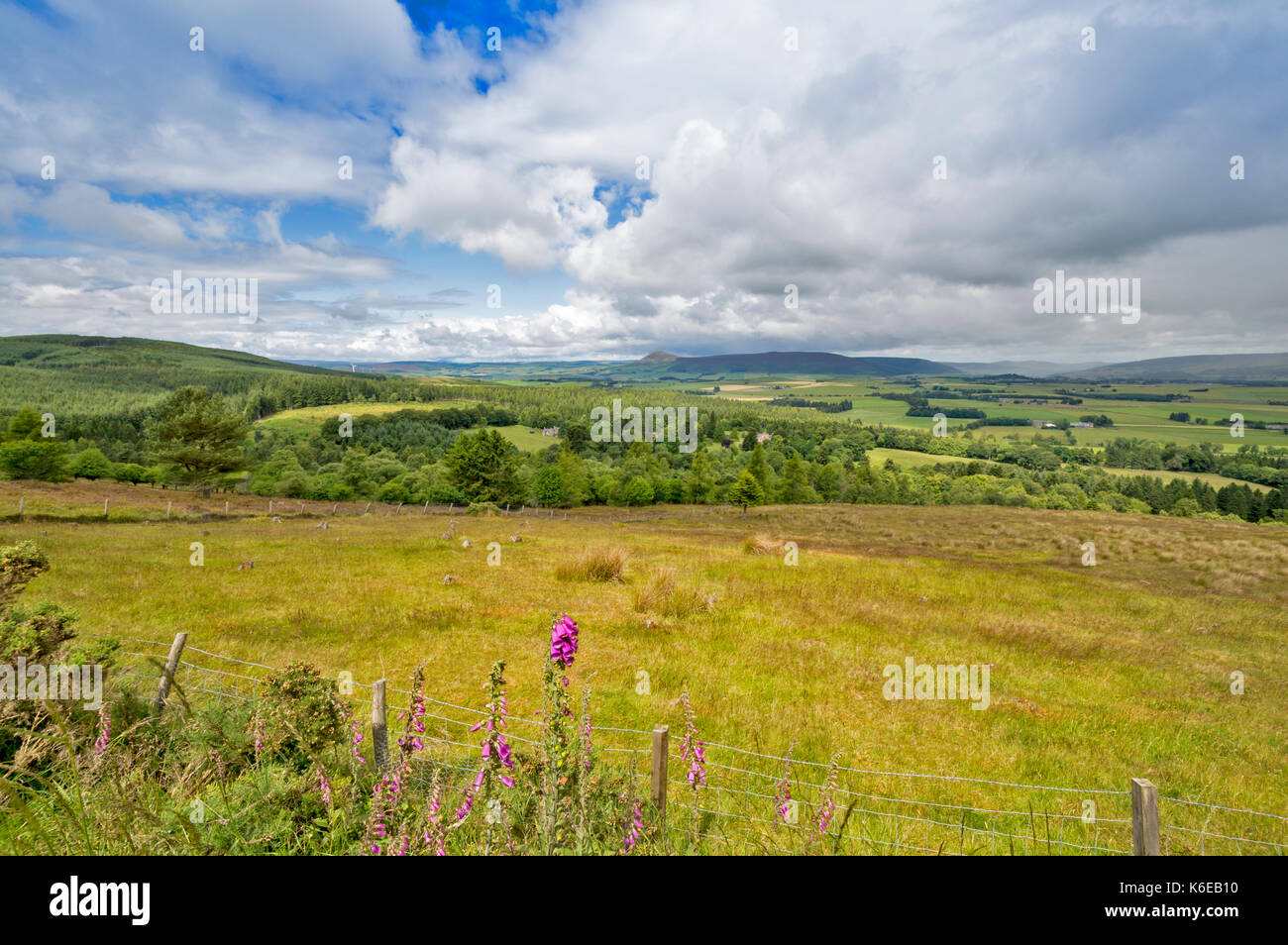 ABERDEENSHIRE campagna vista dalla strada SUIE VICINO CLATT E KENNETHMONT IN ESTATE Foto Stock
