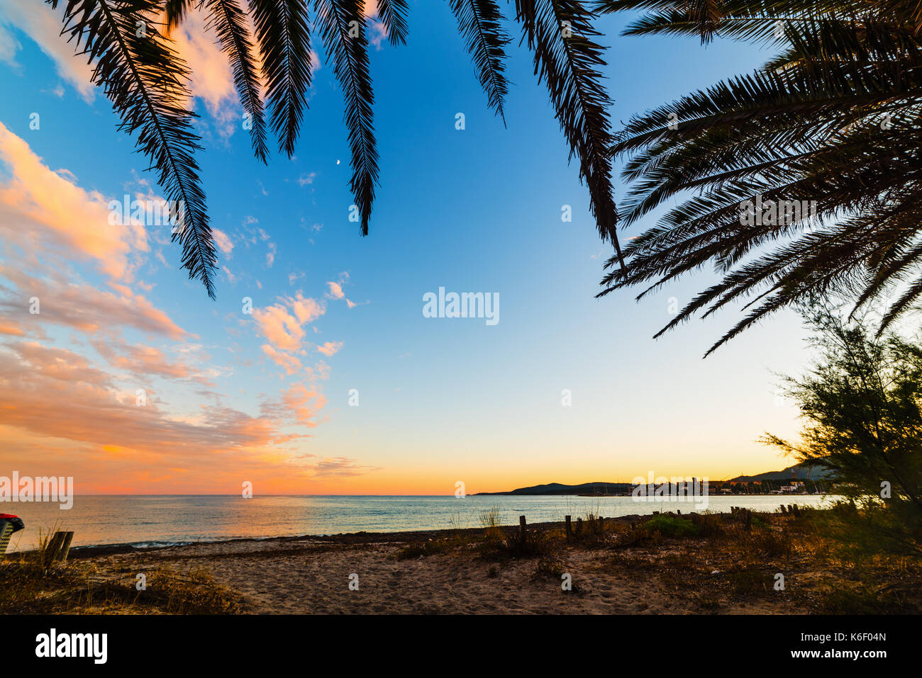 Rami di palme in riva al mare in Sardegna al tramonto Foto Stock