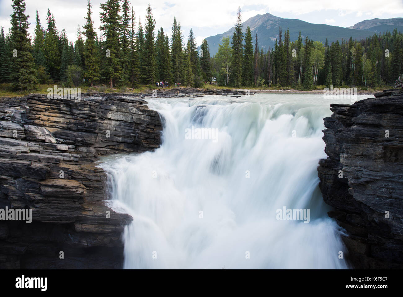 Cascate Athabasca nel Parco Nazionale di Jasper - Alberta, Canada Foto Stock