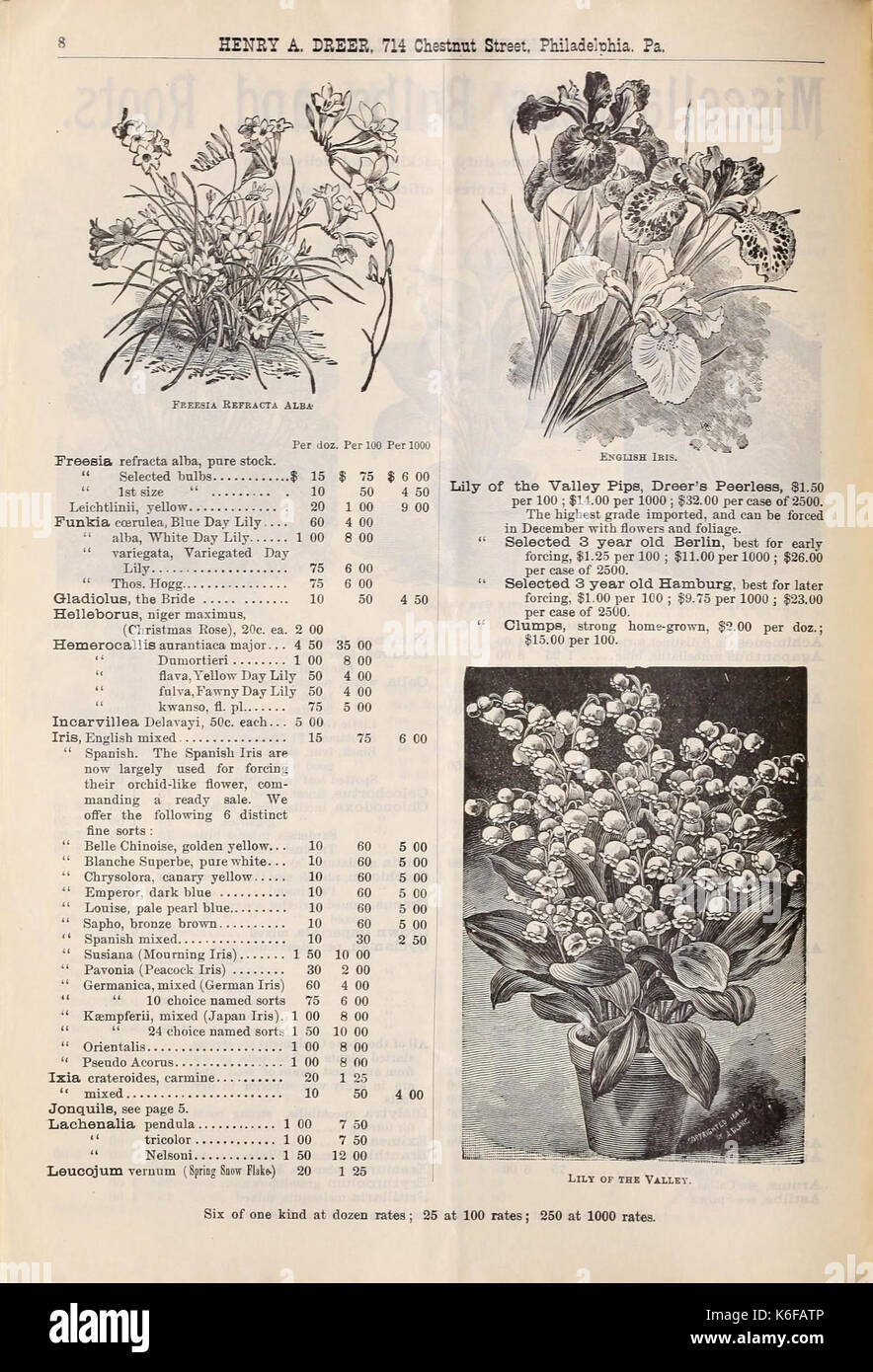 Dreer all'ingrosso listino prezzi edizione autunno da settembre a dicembre 1900 (16257273868) Foto Stock