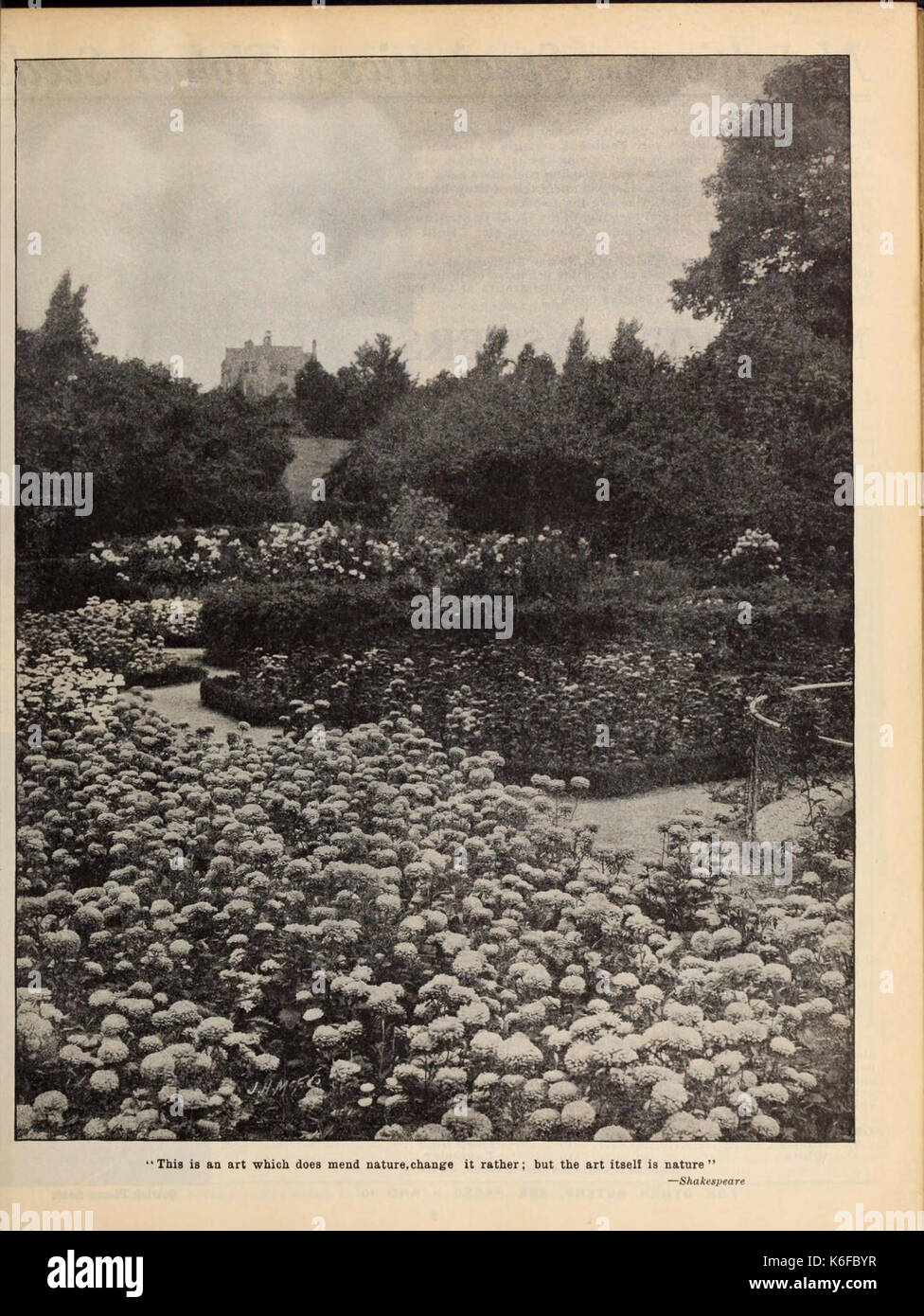 Boddington la qualità delle lampadine, semi e piante (15208324870) Foto Stock