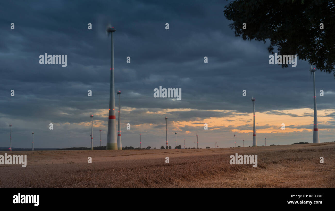 Turbina eolica in un campo di mais alla sera Foto Stock