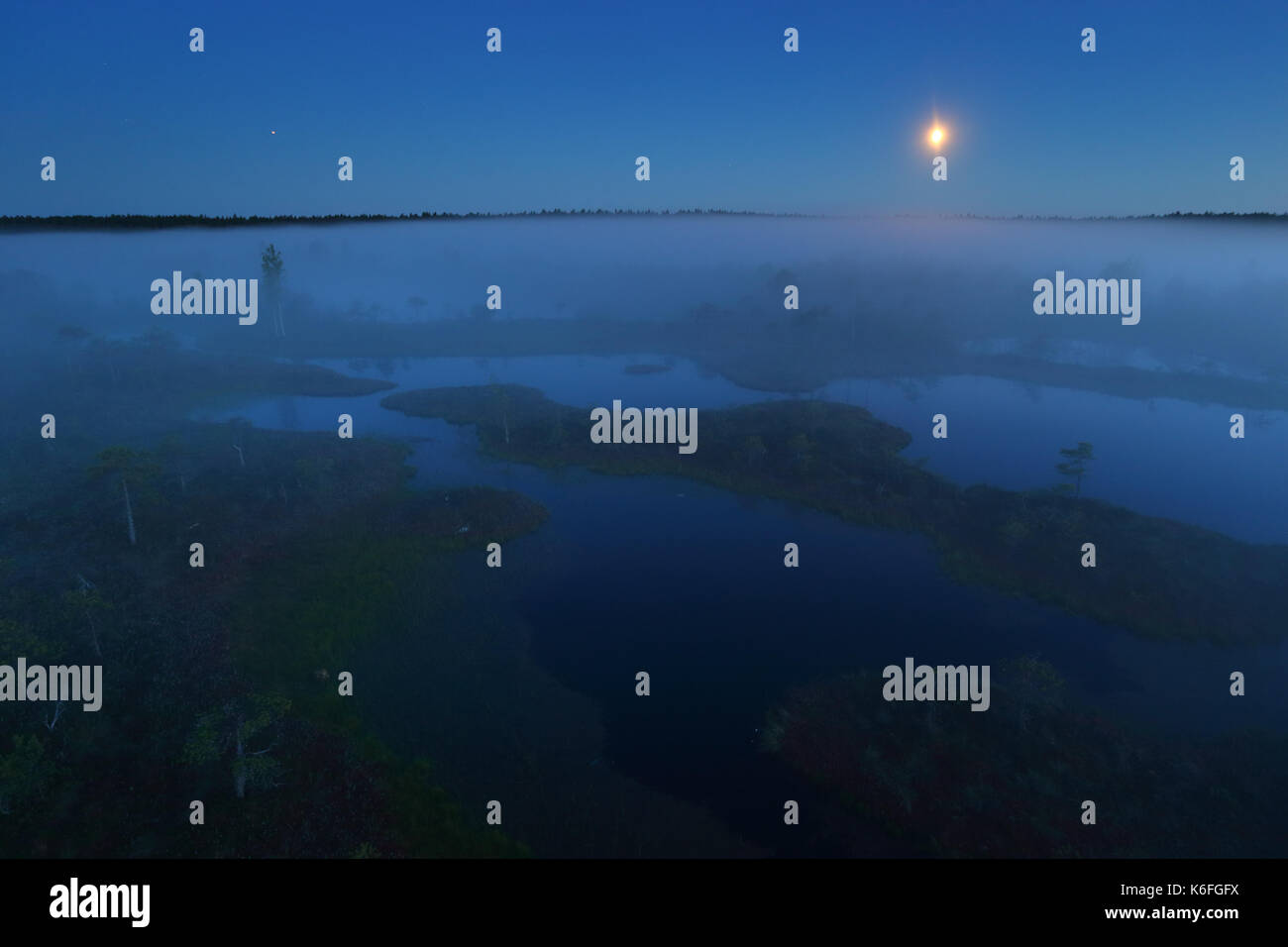 Misty notte estiva in Mannikjärve bog, Endla Riserva Naturale, Estonia Foto Stock