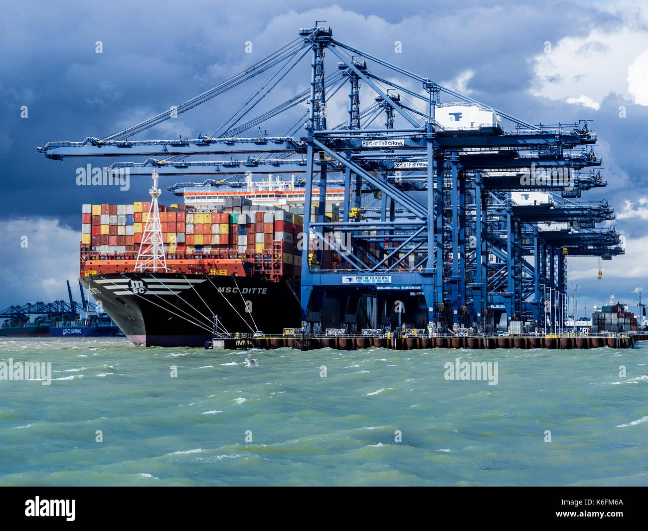 Commercio internazionale - contenitori essendo caricato e scaricato su navi container a Felixstowe, Regno Unito contenitore principale porto per le importazioni e le esportazioni Foto Stock