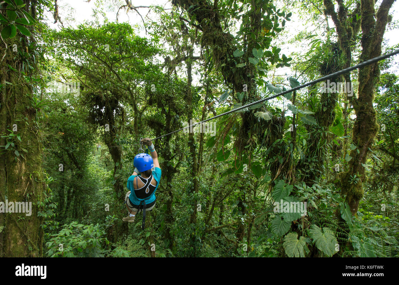 Turista femminile prendendo zip line tour sebbene Monteverde Cloud Forest, Costa Rica Foto Stock