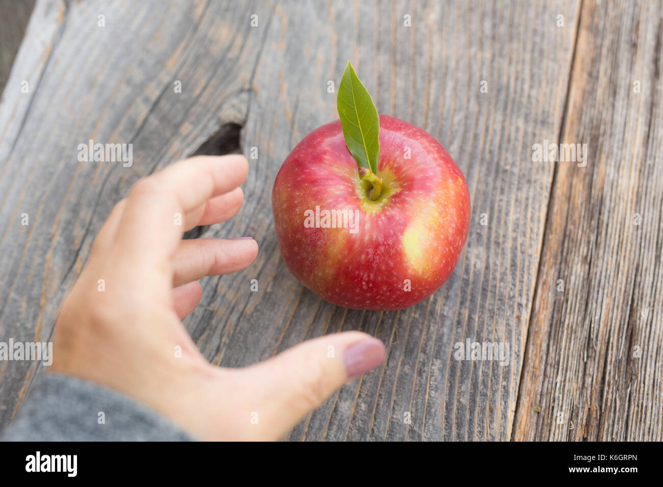 Raccolta di mele e prendere la bontà della mela per essere sano. Una mela tiene lontano il medico. Foto Stock