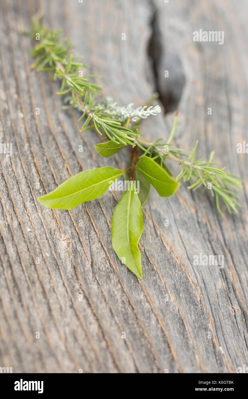 Spezie su una tavola di legno con un mortaio e un mescolare per miscelare le spezie. Foto Stock