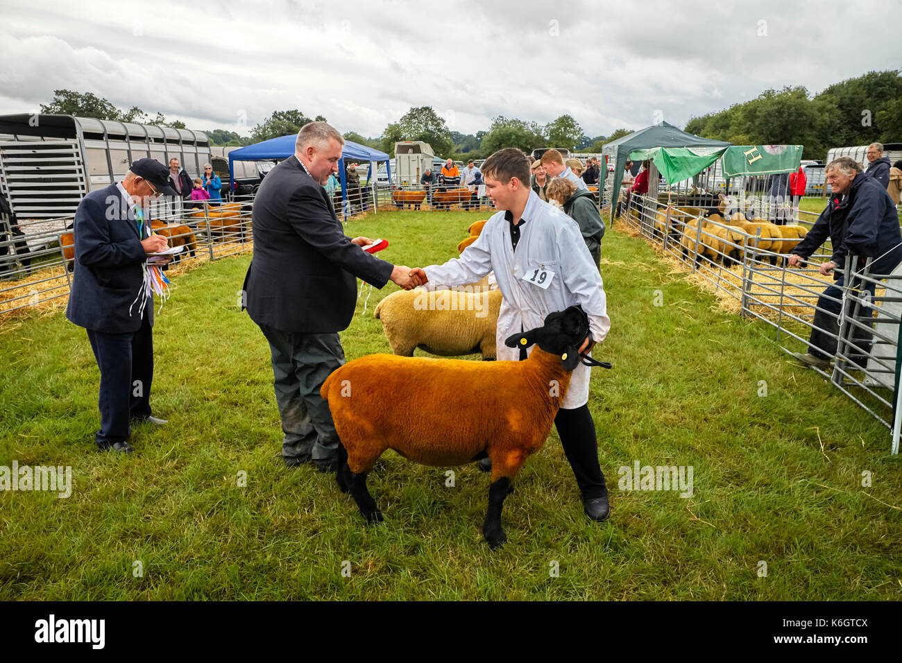 Vincere un premio per la migliore carne di agnello Foto Stock