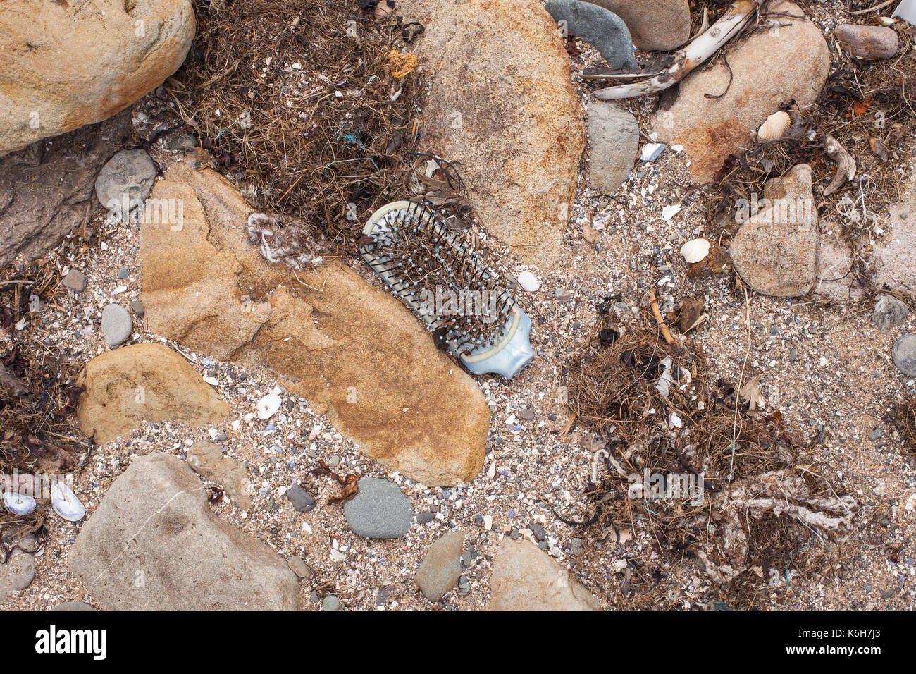 Parte di una spazzola di plastica trovata sulla spiaggia di Carsethorn, Dumfries e Galloway, Scozia. Un esempio di rifiuti di plastica. Foto Stock