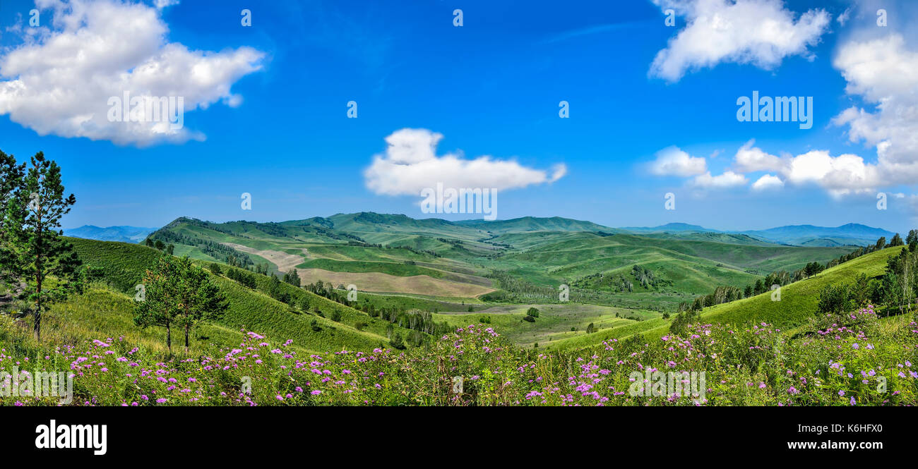 Pittoresca montagna soleggiata panoramica paesaggio di verde sulle colline di montagna cresta, il prato fiorito di lilla fiori selvaggi e belle nuvole su blu sk Foto Stock