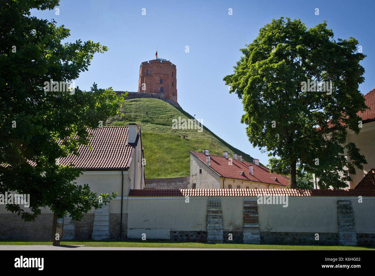 Gediminas' torre, Vilnius, Lituania Foto Stock