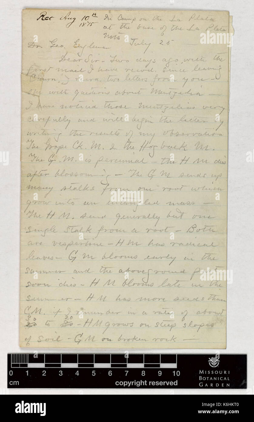 Corrispondenza Brandegee (Townsend) e Engelmann (George) (Lug 25, 1875 (1)) BHL42462619 Foto Stock